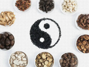 Are Your Emotions Affecting your Digestion? A Chinese Medicine Perspective.......