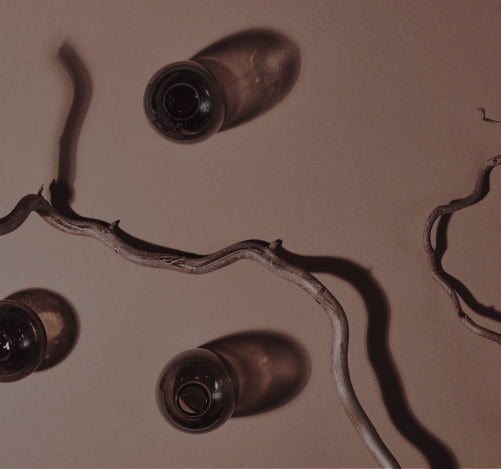 capsules with a tree branch and shadows