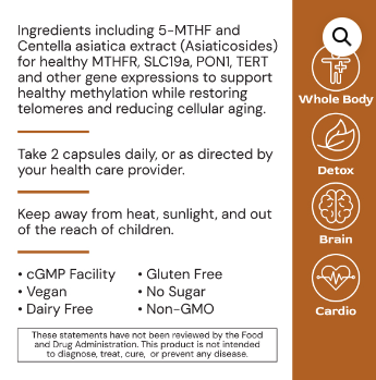 MethylGenic by Alimentum Labs (Systemic Formulas)