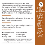 MethylGenic by Alimentum Labs (Systemic Formulas)