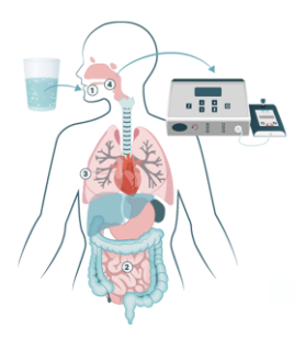 SIBO EasySampler Breath Test Kit by Microbiome Labs