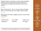 Immune Superfood by Alimentum Labs (formerly Systemic Formulas)