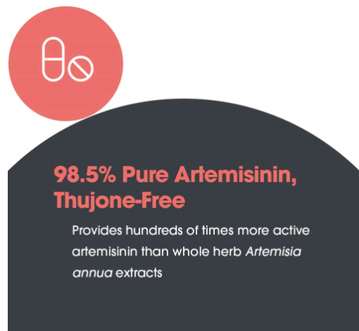 Artemisinin by Allergy Research Group