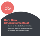 Cat's Claw by Allergy Research Group