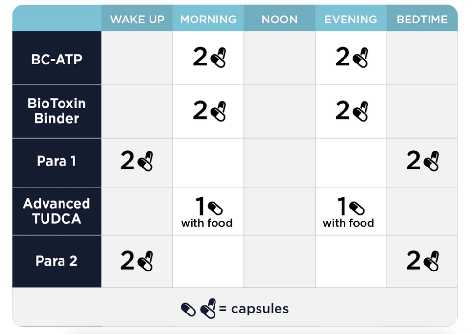 Phase 2: Gut and Immune Support by CellCore