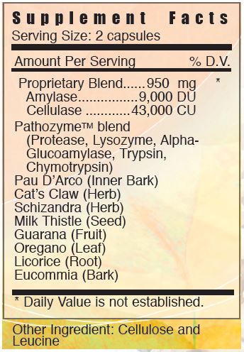 Enzee Hi-Potency Enzyme by Systemic Formulas